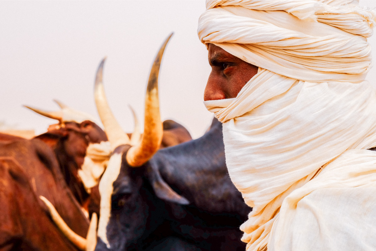 Photographie-Portrait-Touareg-Buffle