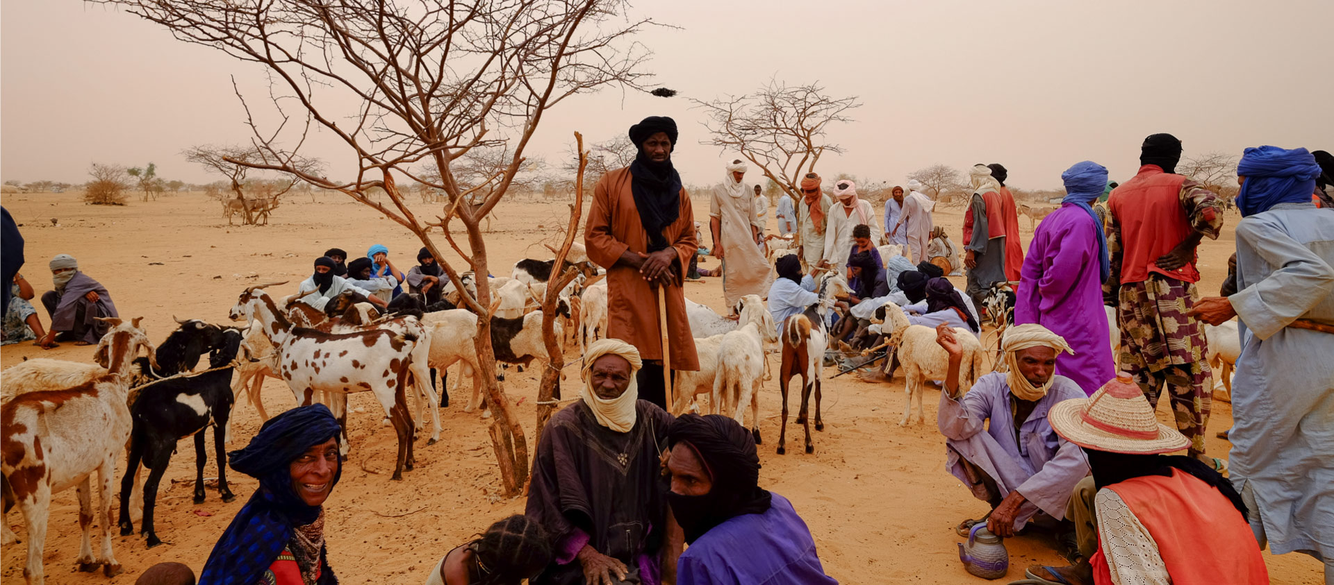 Photographie-art-Touareg-desert-groupe