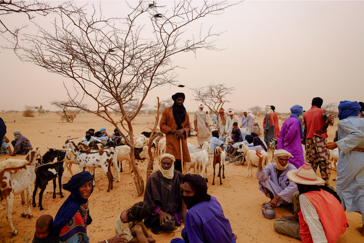 photographie-Touareg-desert-groupe