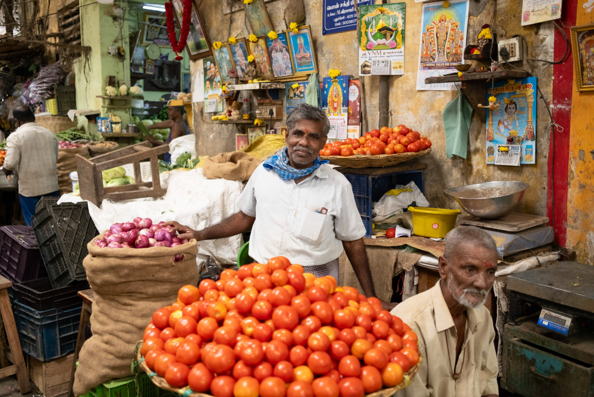 Tomato pride