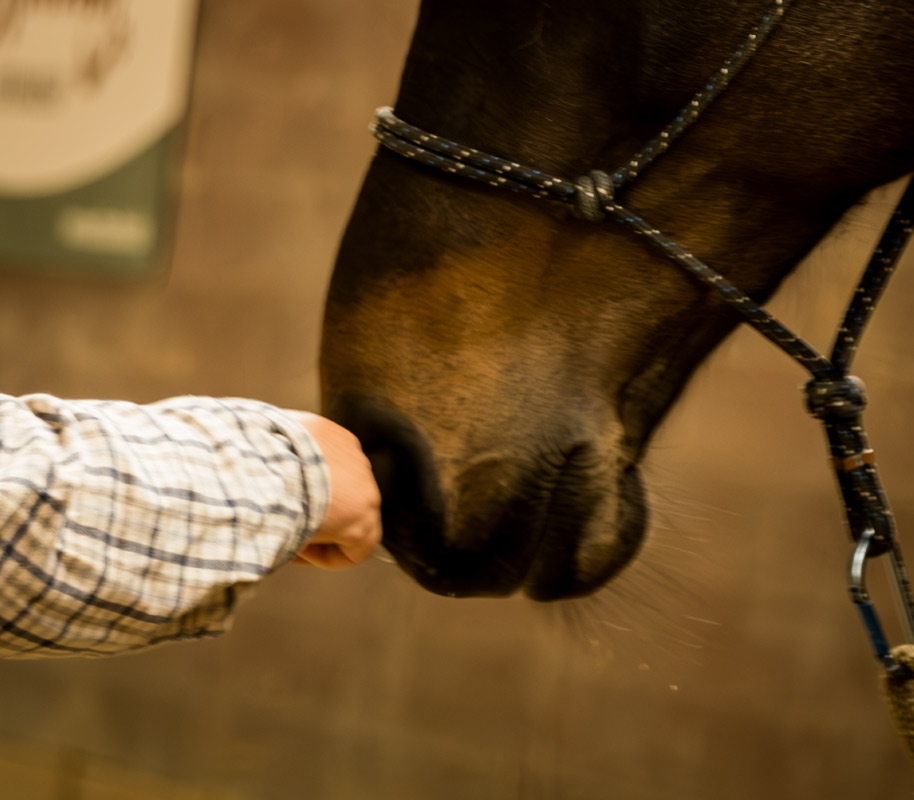 La rencontre