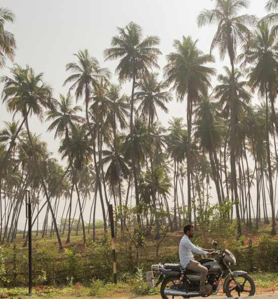 photographie-reportage-inde